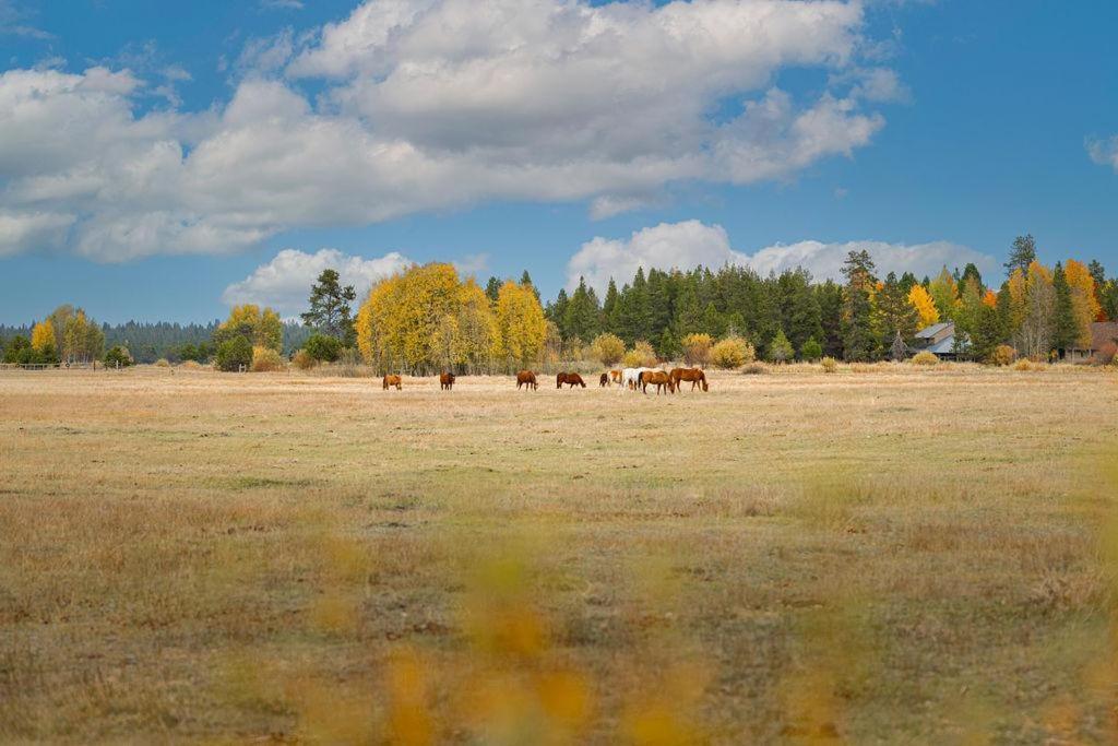 Coyote - Unit 15 Villa Sunriver Kültér fotó